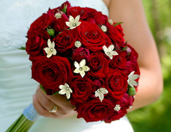 Red roses bouquet3
