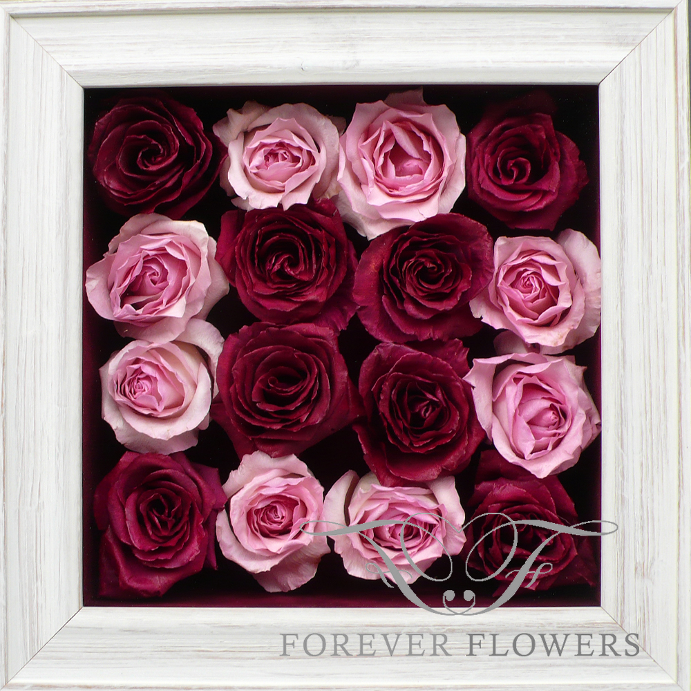 Simply Roses Pavé design with White Distressed Frame